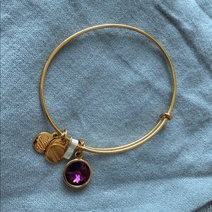 Alex and Ani Gold Bangle Bracelet with Purple Charm